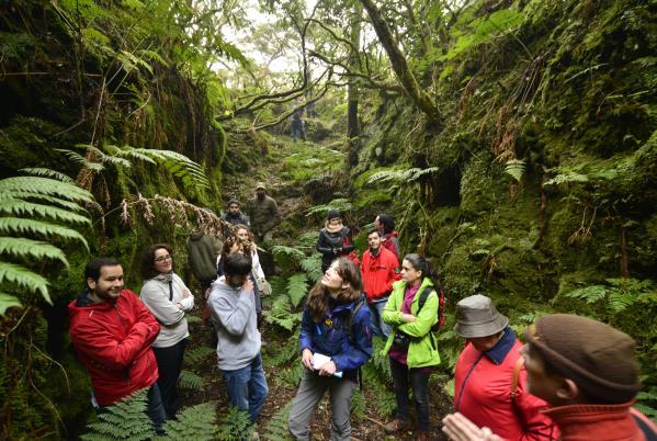 - Conhecer alguns aspetos mais relevantes do Parque Natural da Ilha Terceira. - Tomar contato com a Flora mais importante da Ilha.