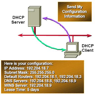 DHCP -