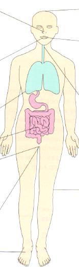 Microbiota Normal Uretra e Vagina - S.