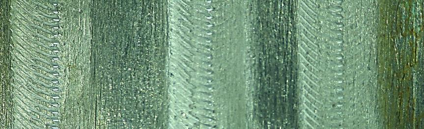 Ligação Dissimilar Alumínio-Aço por Friction Stir Welding: um Caso de Estudo para Ligações em Junta Sobreposta x500 Figura 4.18.