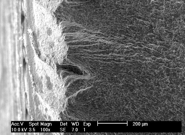 Através da microscopia eletrónica de varrimento, SEM, foram também analisadas as superfícies