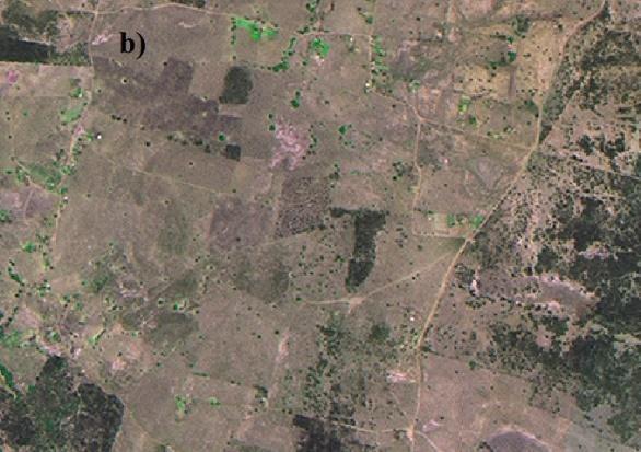 Isso pode ser observado na Figura 5, onde podemos notar o aumento de nitidez desses alvos. Figura 5 Imagens sintéticas, composição 3R, 4G e 2B. a) Antes da fusão, b) depois da fusão.