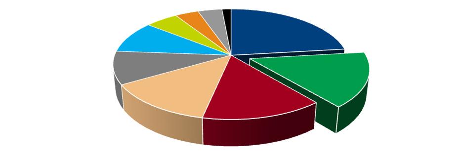 Considerando todas as linhas em operação 10% 5% 10% 13% Outros 4% 4%1% 14% 23% 16% Fonte: ONS Relatório (Dez/16) TAESA 17,51% 11,99% ESPANHÓIS