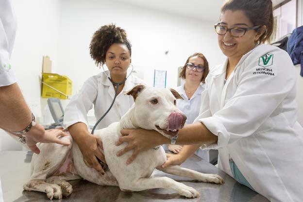 76 VETERINÁRIA Alunos do curso na unidade Vargem Pequena (RJ) ATIVIDADES ACADÊMICAS COMPLEMENTARES Orientada pelos eixos transversais Cidadania; Científico-Acadêmico, Empregabilidade,