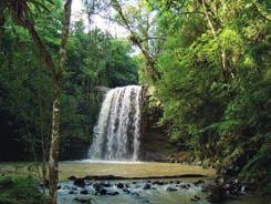 Formada por um remanescente florestal de Mata Atlântica, é atravessada pelo rio Dona Luiza e tem uma cachoeira de 10 metros de altura.