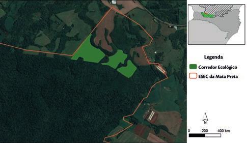 000 mudas de árvores nativas na Estação Ecológica Mata Preta em Abelardo Luz (SC), que auxiliará na recuperação de 27 hectares anteriormente utilizados para lavoura.