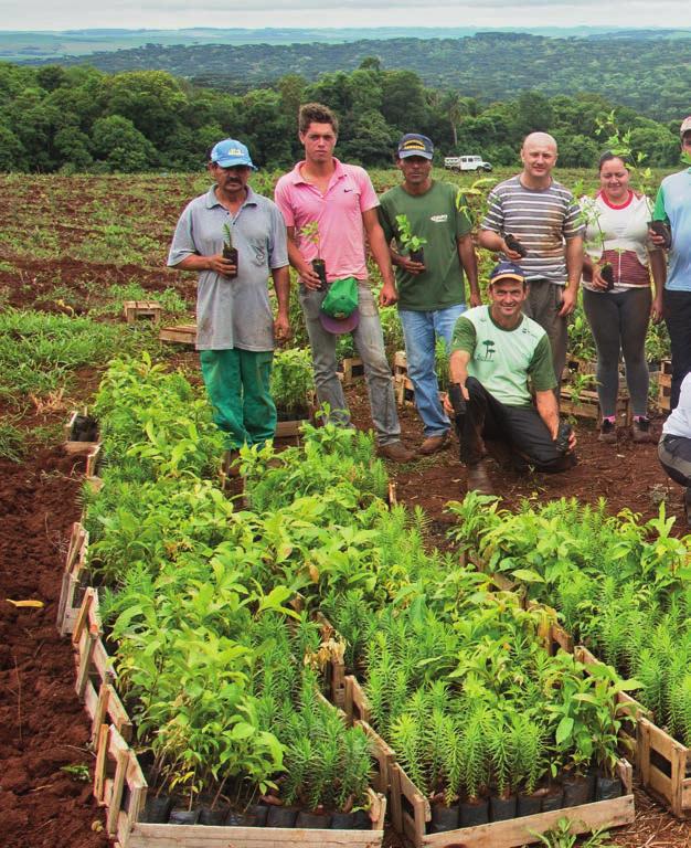 Entramos no projeto com a intenção de reflorestar uma área que está degradada, pois além de ficar bonito, quando as árvores derem frutas, vão servir de alimento para os peixes e para quem vier pescar.