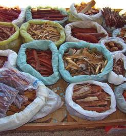 voluntária de vegetação nativa e manejo agroflorestal, entre outros mecanismos.