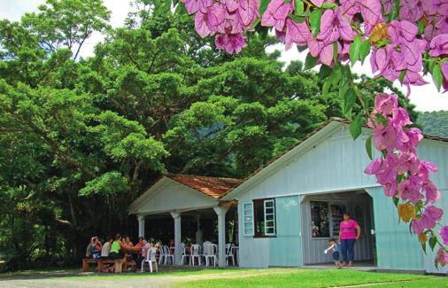 capítulo 5 As propostas... MIRIAM PROCHNOW ESPAÇOS PLANEJADOS E BEM ARBORIZADOS SÃO ATRATIVOS PARA O TURISMO RURAL.