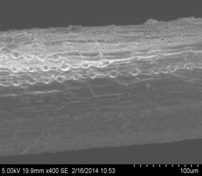 microtrincas encontradas em uma das amostras de fibras tratadas quimicamente e secas.