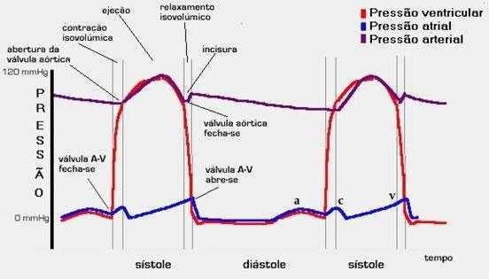 A onda a é causada pela contração atrial. Enquanto a pressão atrial direita aumenta por cerca de 4 a 6 mmhg, durante a contração atrial, a pressão atrial esquerda aumenta cerca de 7 a 8 mmhg.
