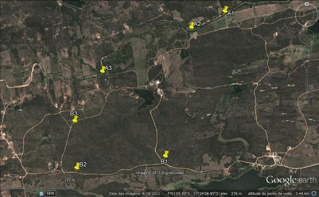 Fig 3 Imagem de satélite da área de estudo, destacando os pontos A1, A2 e A3 (Mata Ciliar) e B1, B2 e B3 (Caatinga Xerófila) da Fazenda Tamanduá, localizada no município de Santa Teresinha-PB.
