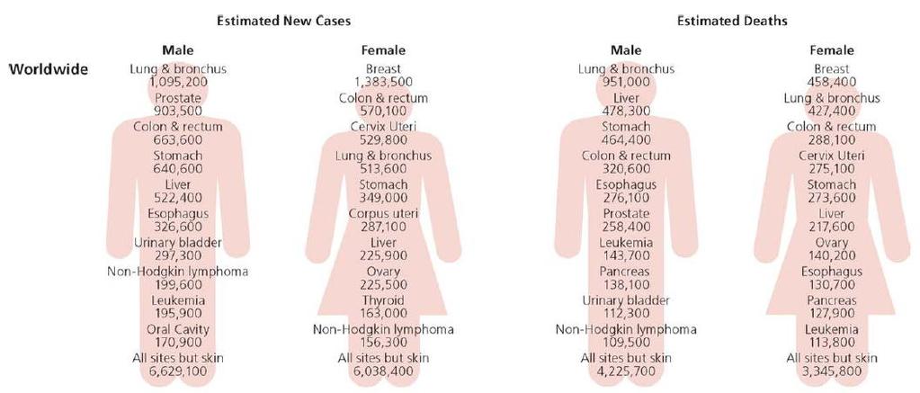 1. Introdução O cancro da mama é uma importante causa de mortalidade e morbilidade a nível mundial, sendo a sua incidência mundial anual de, aproximadamente, 1.383.000 novos casos.