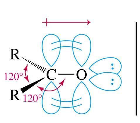 Estrutura da Carbonila Carbono tem hibridização sp 2 A ligação C= é mais curta, mais forte e mais polar que a C=C em alcenos.