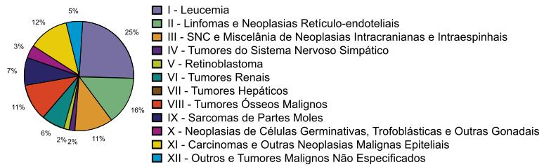 esta pesquisa objetivou caracterizar o perfil epidemiológico dos tumores do SNC pediátricos (até 18 anos de idade) operados no Hospital Infantil Arlinda Marques,