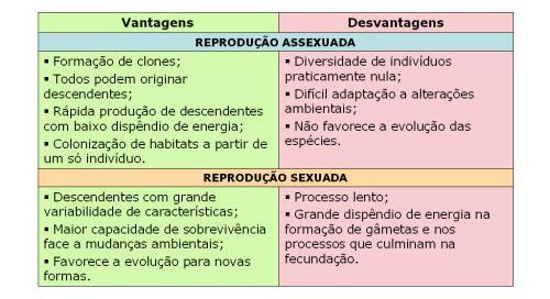 Vantagens e