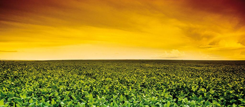 Produtividade Agrícola Uma fábrica a céu aberto Regulador Proc. Temp. do ar Energia Rad.