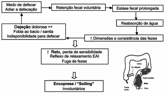 CAPÍTULO 28. OBSTIPAÇÃO, ENCOPRESE E ENURESE 91 Figura 1. Fisiopatologia da obstipação funcional e encoprese. EAI Esfincter anal interno. (adaptado de Obstipação e Incontinência Fecal na Criança.