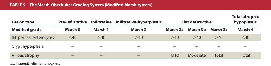 Anexo 5 Classificação de Marsh-Oberhuber in HUSBY, S., KOLETZKO, S., KORPONAY-SZABÓ, I.R., MEARIN, M.L., PHILLIPS, A. et al.