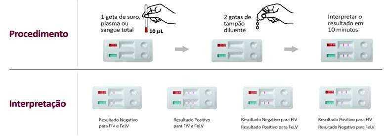 Imunocromatografia FIV e FeLV Vírus da Imunodeficiência Felina (FIV) e Vírus da