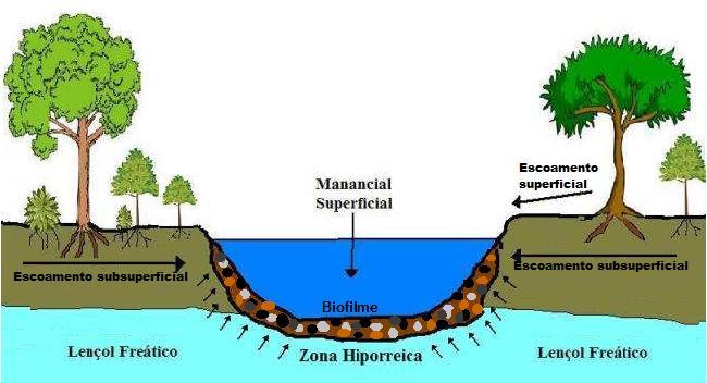 Figura 1 - Esquema Zona Hiporreica Nesta região de transição, os processos ecológicos, seus produtos e as condições locais são influenciados por características hidrodinâmicas, tamanho da partícula