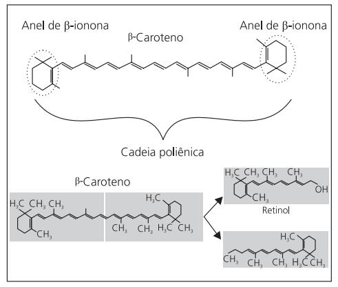 Figura 3 Estrutura e clivagem do β-caroteno (Fonte: AMBROSIO, CAMPOS & FARO, 20