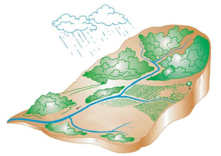 Fonte: Adaptado de Wanderley (2009) - ANA Hidrologia Estatística Os processos hidrológicos são extremamente variáveis (Estocásticos), tanto no tempo quanto no espaço Chuva, vazão, evaporação,