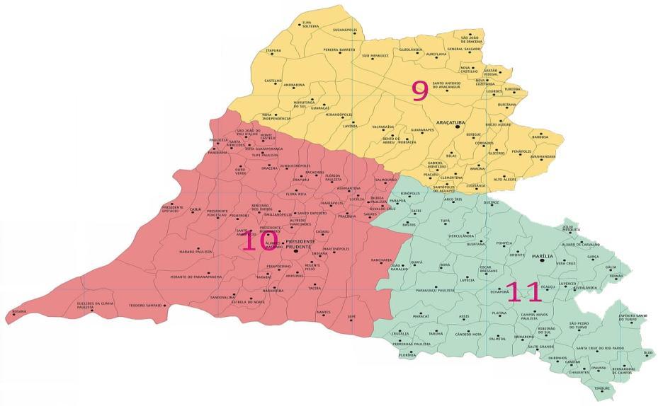 a 9ª, 10ª e 11ª R.A. do Estado de São Paulo. As três R.A. (Figura 1) totalizam 147 municípios, ocupam uma área de 60.856km 2 e possuem cerca de 2.516.