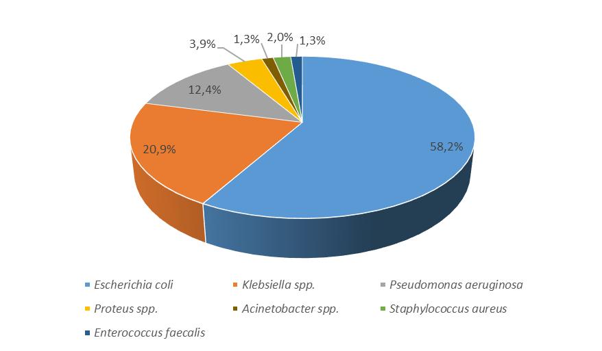 II.REVISÃO BIBLIOGRÁFICA estirpes causadoras de ITUs num estudo levado a cabo por K.R. Rajesh et al., em 2010 (24).