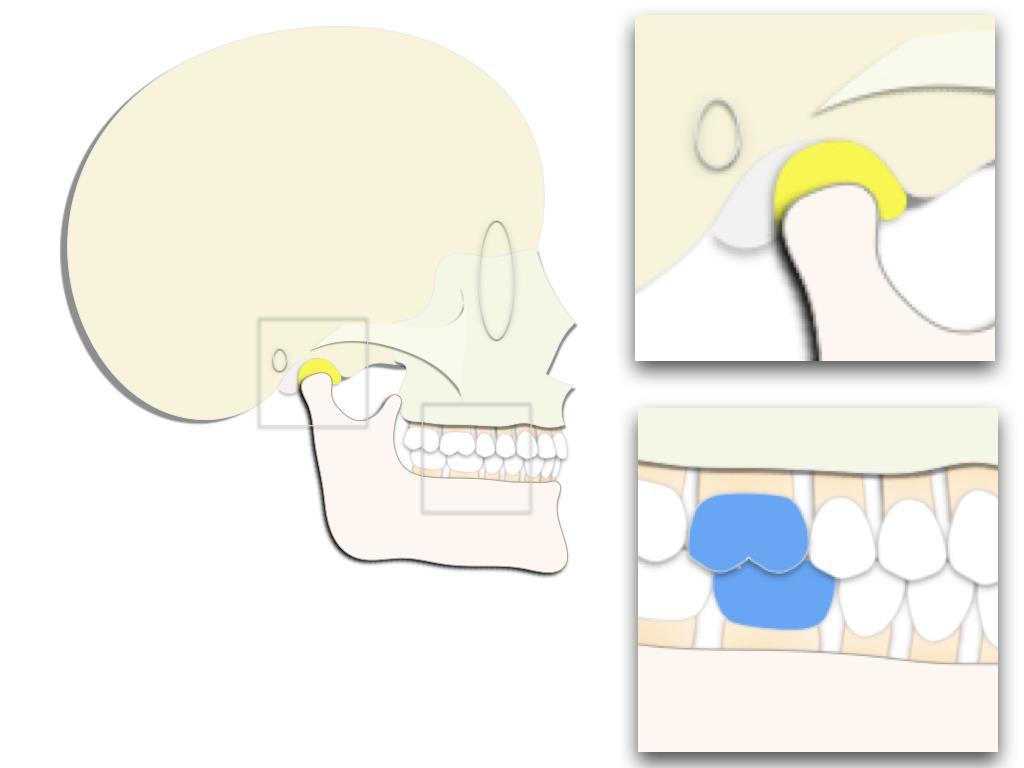 26 disco articular, considerando o equilíbrio fisiológico dos músculos relacionados com a mandíbula, e independe do relacionamento dentário.