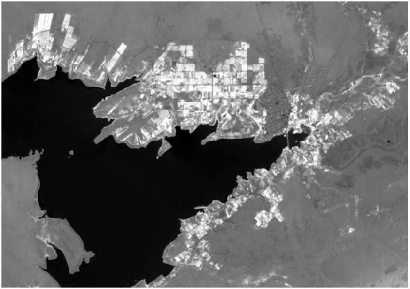 (a) (b) (c) (d) Figura 4 Índices Físicos. (a) NDVI. (b) NDWI. (c) NDBI. (d) R (NDBI) G (NDVI) B (NDWI). 2.