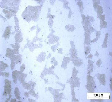 29 4.2.1 Caracterização dos Aços Carbono Como Recebido Como resultados da caracterização dos aços carbono como recebidos, foram obtidas as micrografias exibidas na Figura 7 para o aço baixo carbono,