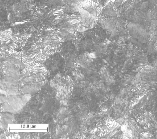 33 Figura 11 Exemplo de micrografia Ótica de um aço 1095 normalizado, com aumento de 1000x. Fonte: Lima (20