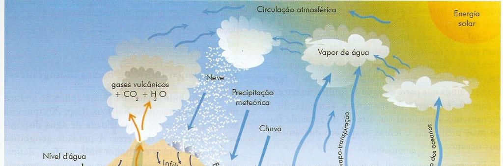 Fonte: Teixeira et al, 2005.