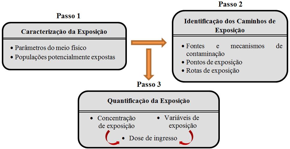 21 físico, frequência, duração de exposição, peso corpóreo da população exposta e período de exposição.