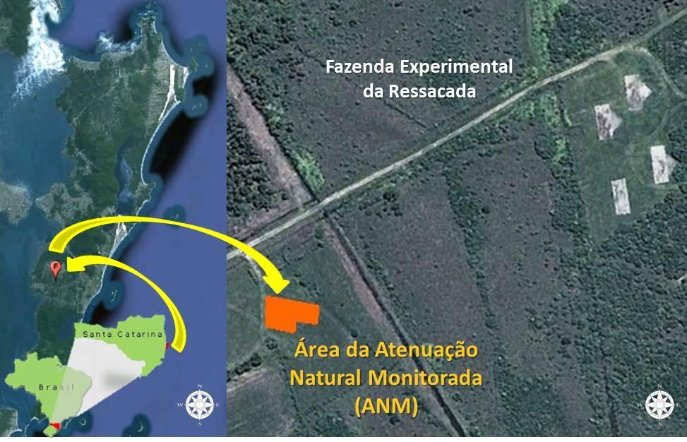 36 Figura 8 - Localização da área experimental da atenuação natural monitorada (ANM). Fonte: Adaptado de Google.