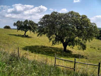 Paisagens Sustentáveis e