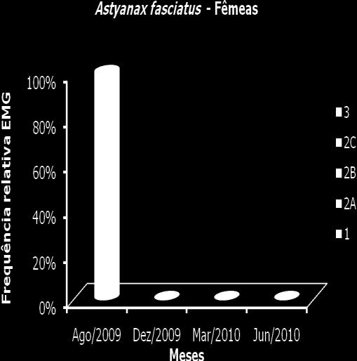 As fêmeas de Astyanax fasciatus, apresentaram indivíduos somente na campanha de agosto/09. Apenas o estádio de maturação 3 (desovado) que não foi representado.