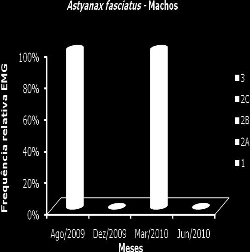 Figura 34. Frequência de distribuição dos estádios de maturação gonadal dos machos de Astyanax fasciatus coletados na PCH Tronqueiras, município de Coroaci, MG.