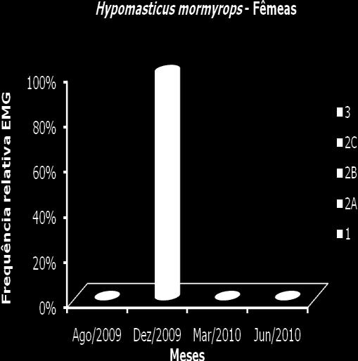 Figura 37. Frequência de distribuição dos estádios de maturação gonadal das fêmeas de Hypomasticus mormyrops coletados na PCH Tronqueiras, município de Coroaci, MG. Figura 38.