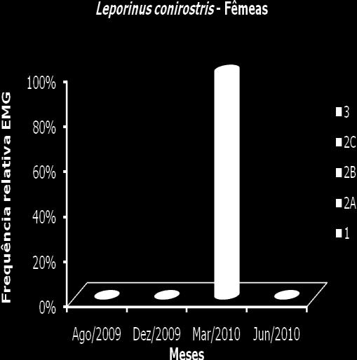 Figura 39. Frequência de distribuição dos estádios de maturação gonadal das fêmeas de Leporinus conirostris coletados na PCH Tronqueiras, município de Coroaci, MG. Figura 40.