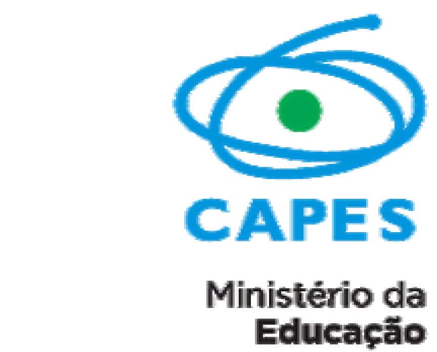 de projetos para o Programa de Cooperação Internacional Centros Associados da Pós- Graduação Brasil-Argentina (CAPG-BA), conforme o