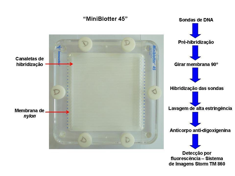 26 Figura 2.