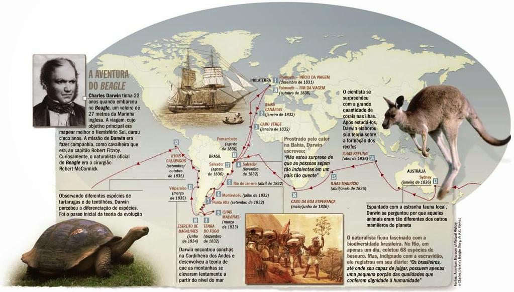 A teoria evolucionista de Darwin Muitas das observações que levaram à teoria evolucionista