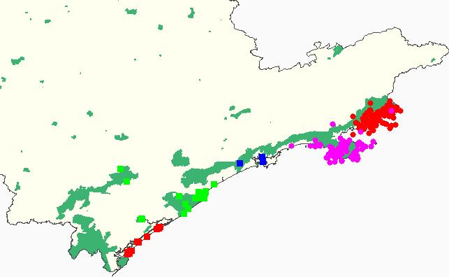 BIODIVERSIDADE