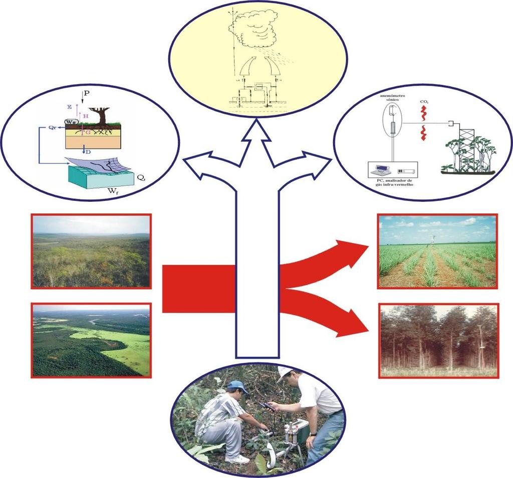 Funcionamento de Ecossistemas e Serviços Ambientais Biosphere-Atmosphere Coupling Hydrology Hydrochemistry Carbon, nitrogen & water fluxes Natural Ecosystems Land use