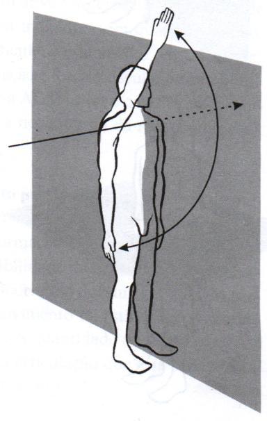 86 ocorrem movimentos no eixo longitudinal, látero-lateral e ântero-posterior, respectivamente (SACCO; TANAKA, 2008).