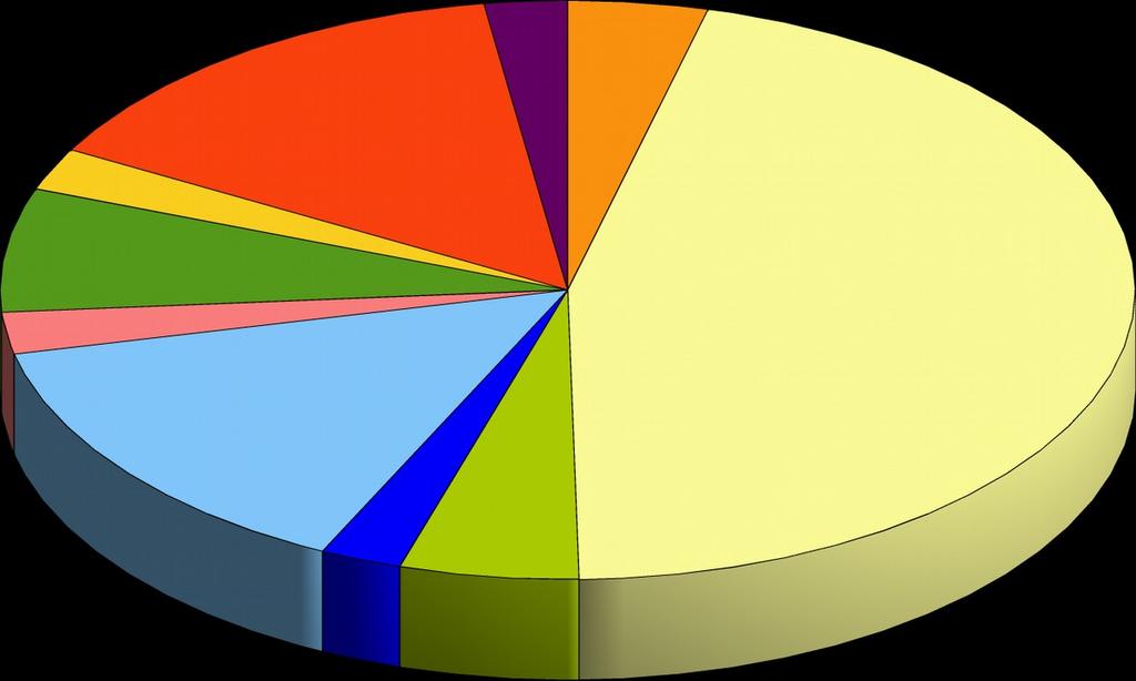 DISTRIBUIÇÃO DAS VAGAS PROCESSO SELETIVO 2015 14,60% 2,36% 3,98% 6,90% 2,36% 2,33% 2,33% 5,10% 14,33% 45,70% PRETO RENDA <= 1,5 PARDO RENDA <= 1,5 ÍNDIO RENDA <= 1,5 DEMAIS VAGAS RENDA <= 1,5 PRETO