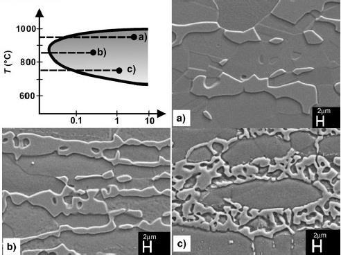 A Figura 5a apresenta uma morfologia mais macia obtida para tratamentos acima de 900 C, já a Figura 5b apresenta uma forma lamelar, geralmente a temperaturas 850 C e por fim na Figura 5c com