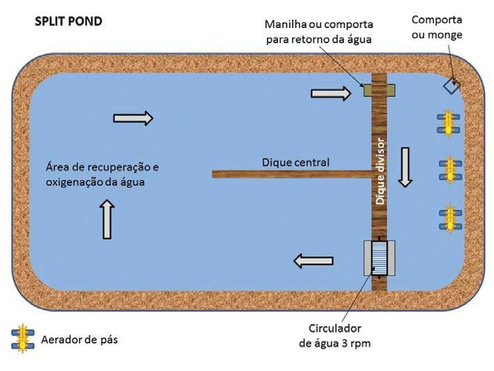 Figura 5. Durante o dia, um circulador de água força a saída da água da área de cultivo para a área de recuperação e oxigenação da água.